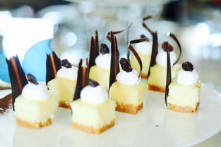 蝶聚时光 五星酒店行政酒廊盛装启幕，静享尊尚体验与美食甄选