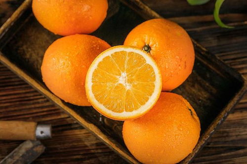 九月初七 一不动，做二事，吃三样，聚微时成百事顺遂